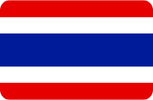 th Flag